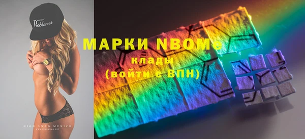 индика Струнино