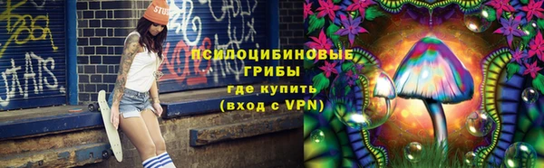 а пвп мука Вяземский
