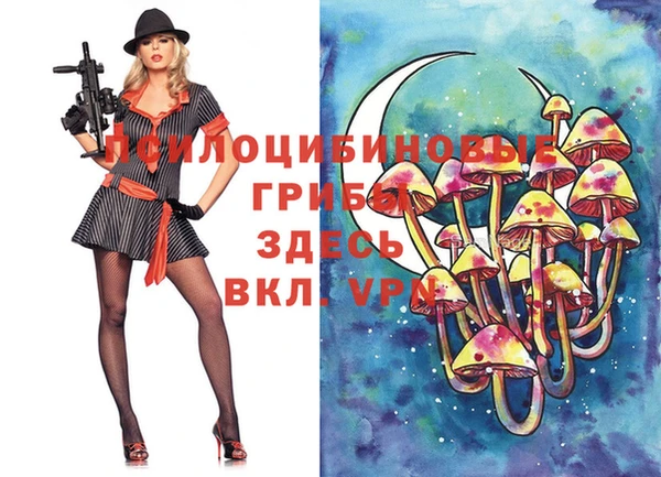 а пвп мука Вяземский